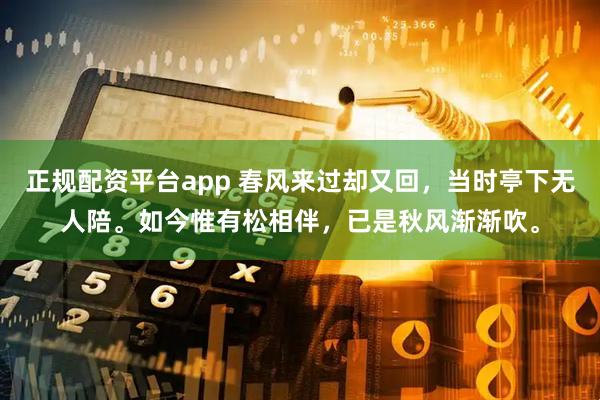 正规配资平台app 春风来过却又回，当时亭下无人陪。如今惟有松相伴，已是秋风渐渐吹。